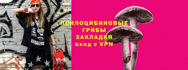 стаф Заводоуковск