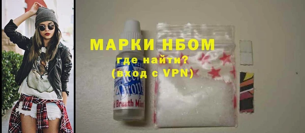 стаф Заводоуковск