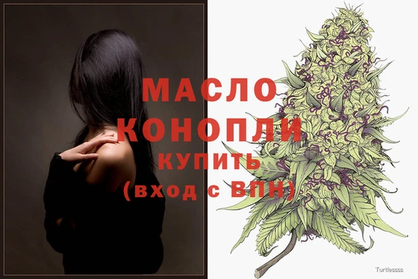 стаф Заводоуковск