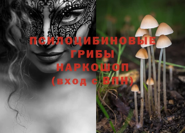 дурь Заволжск