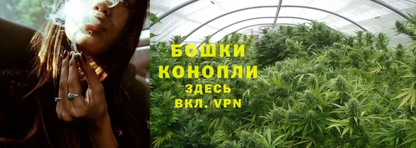 дмт Зеленокумск