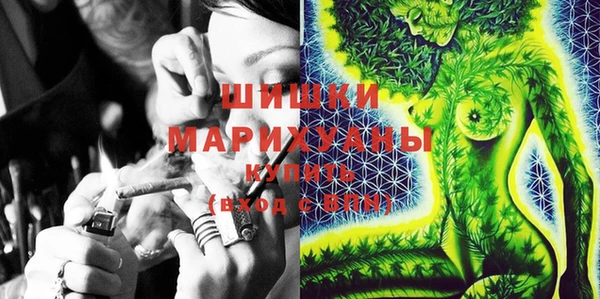 стаф Заводоуковск