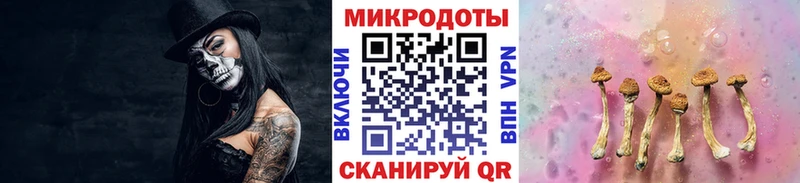 наркота  Калач  Галлюциногенные грибы Psilocybe 